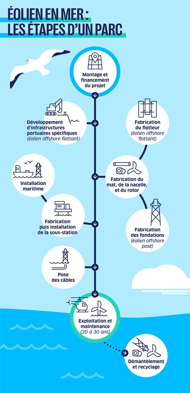 Infographie illustrant les étapes de développement d'un parc éolien en mer.