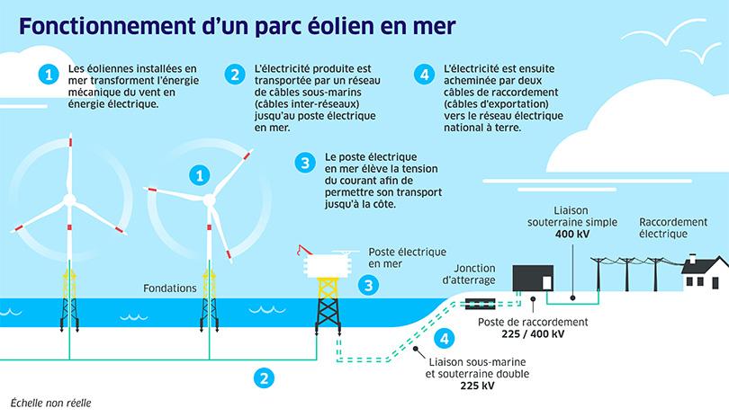 Schéma illustrant le fonctionnement d'un parc éolien en mer avec éoliennes et câbles électriques.