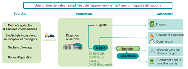 Schéma de chaîne de valeur simplifiée pour la production de biométhane à partir de déchets.