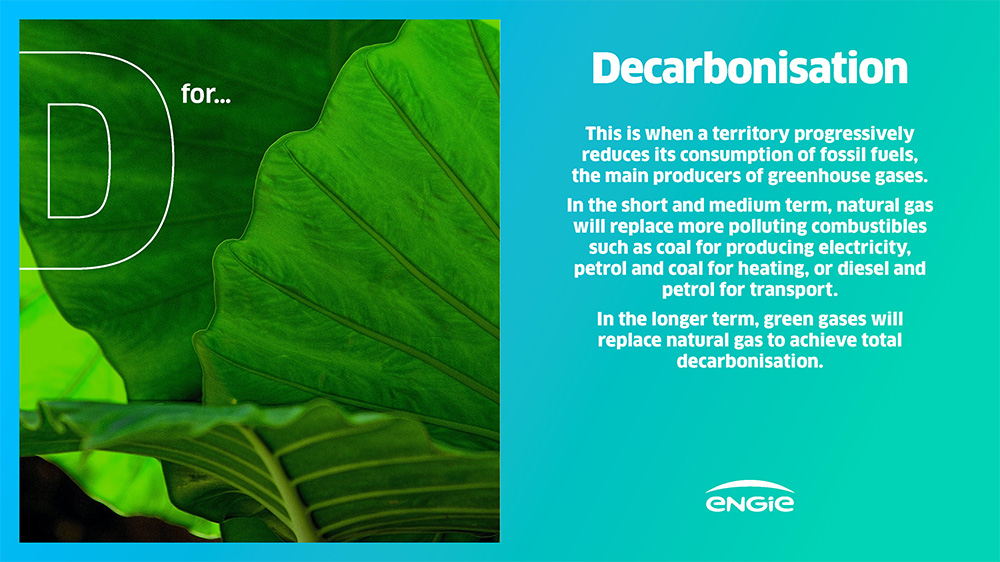 Green leaves with text about decarbonisation and fossil fuel reduction.