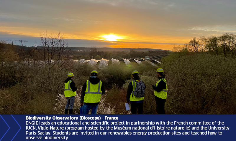 Four individuals in safety vests observing a sunset over a natural landscape.