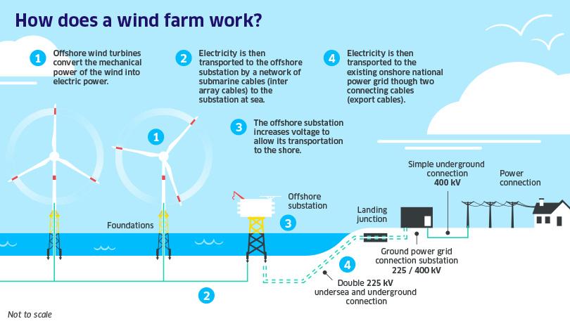 Diagram illustrating the process of how offshore wind farms generate electricity.