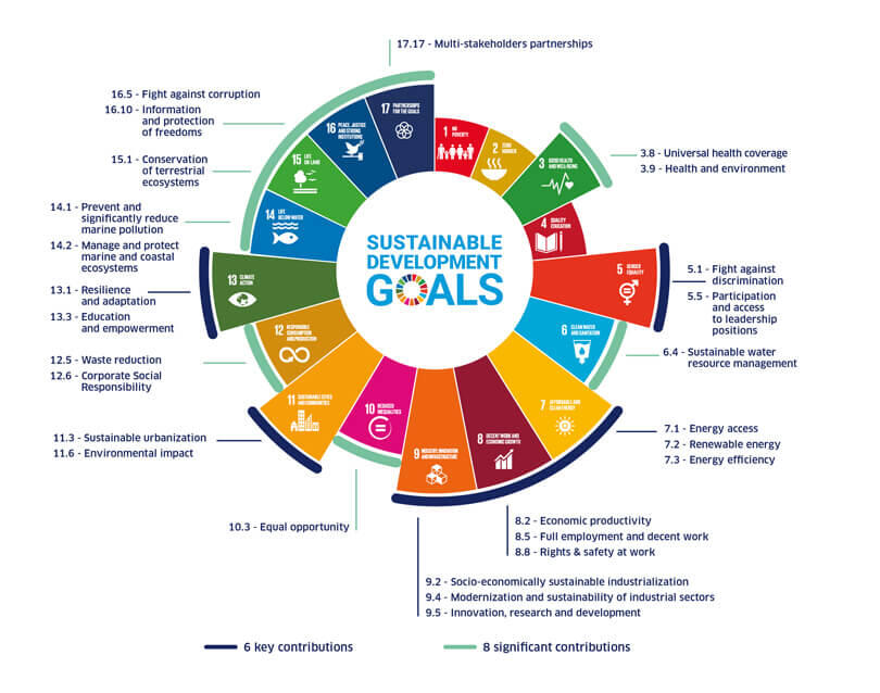 Colorful wheel representing the Sustainable Development Goals with various icons and text.