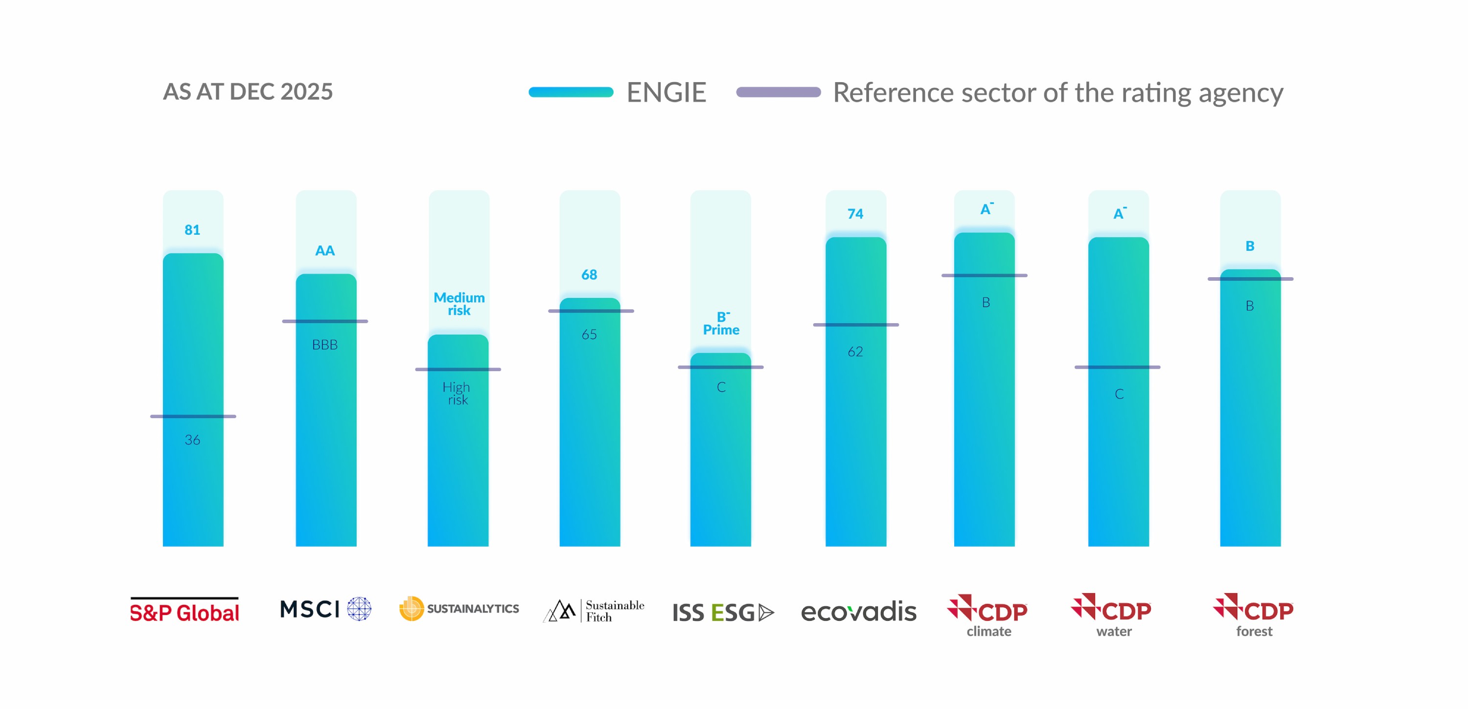 Bar graph displaying RSE performance metrics with various risk ratings and scores.