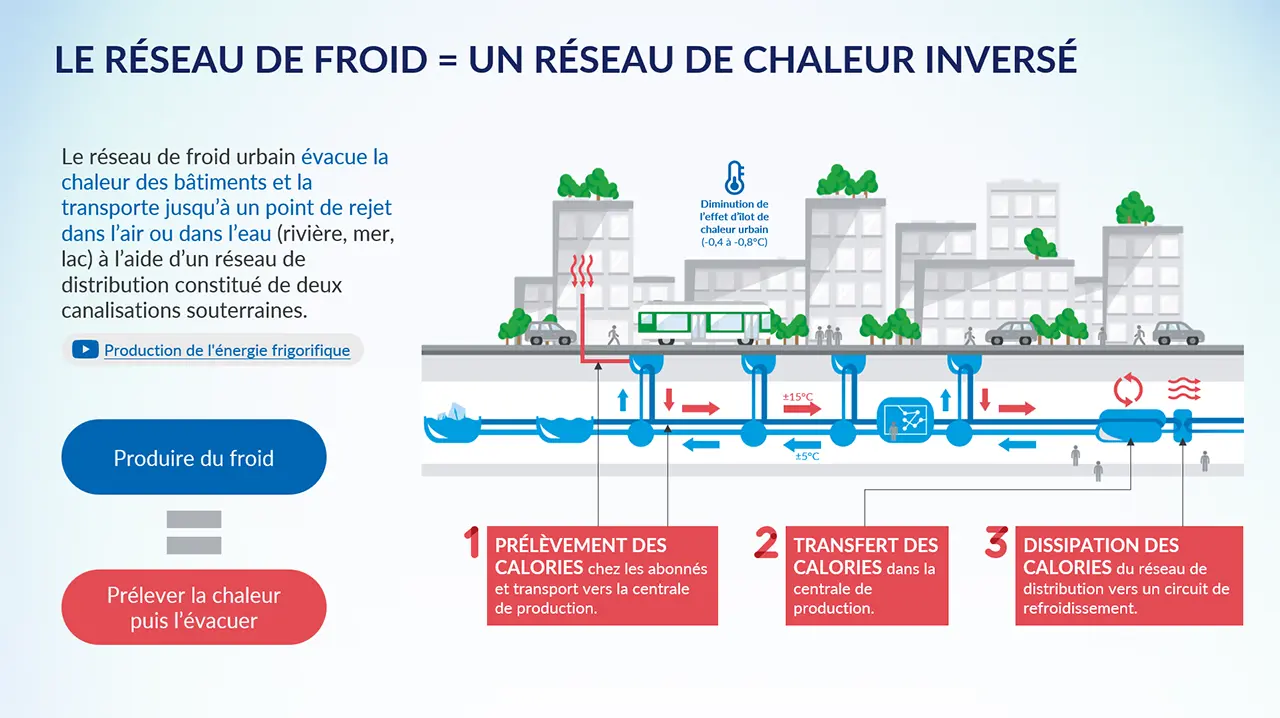 Schéma d’un réseau de froid urbain : la chaleur des bâtiments est captée, transportée vers une centrale, puis dissipée vers un circuit de refroidissement.