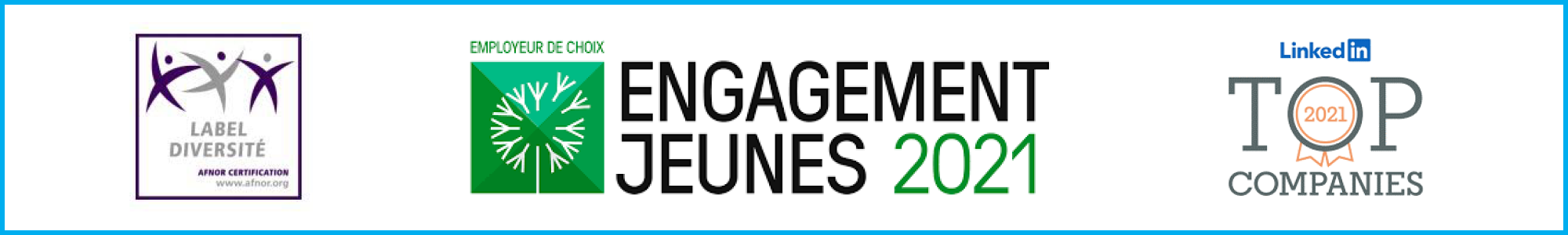 Bouton telechargement PDF 