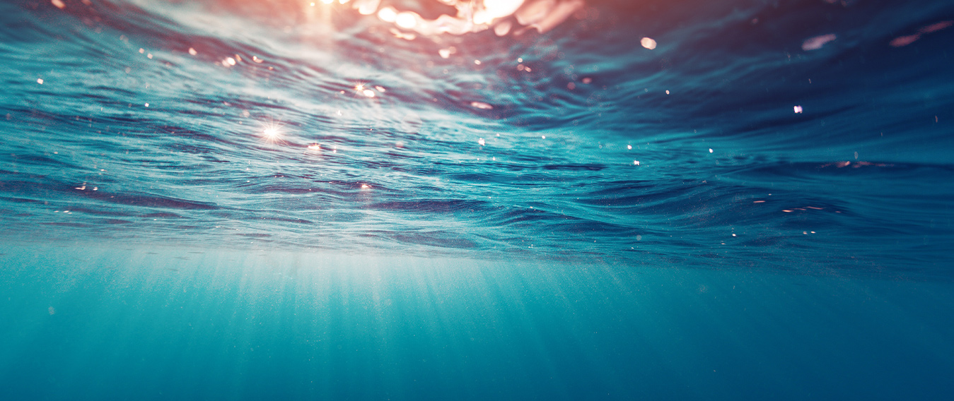 Header_Biodiversite