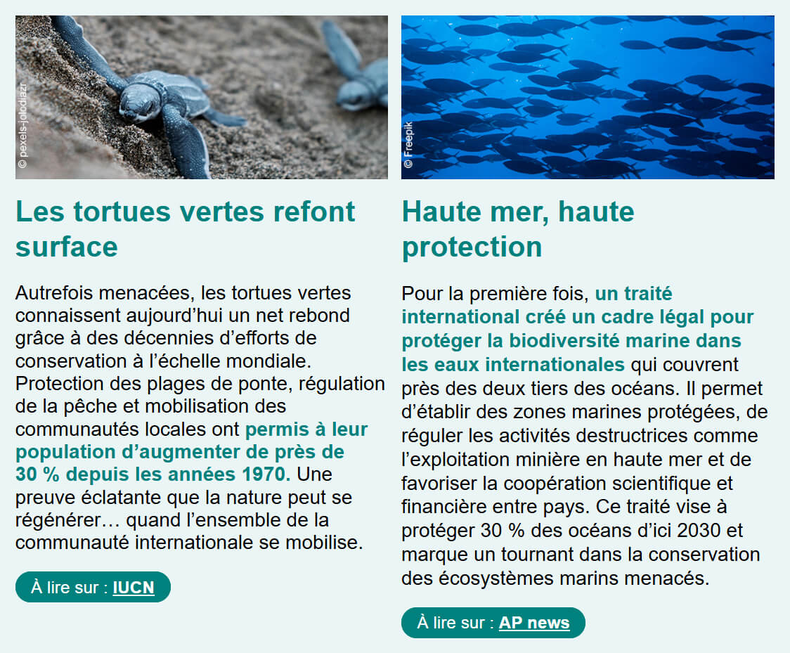 Trends Shaker novembre 2025