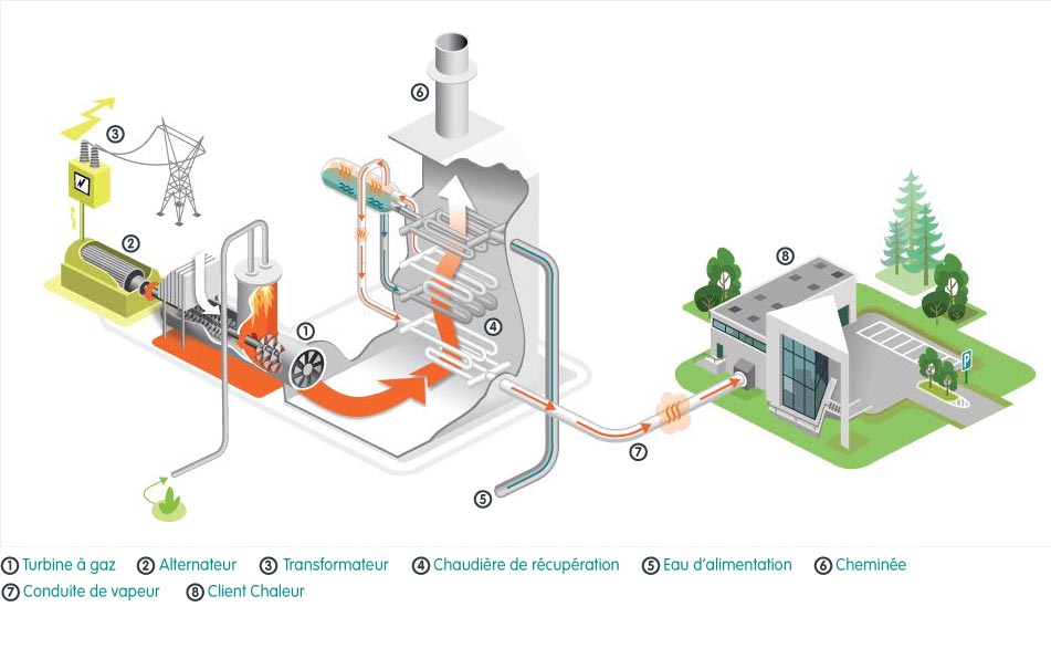 Electricité thermique