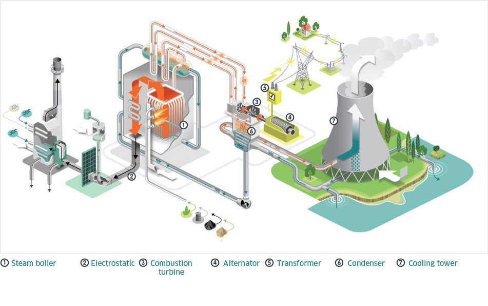 How does a Thermal power plant work? 