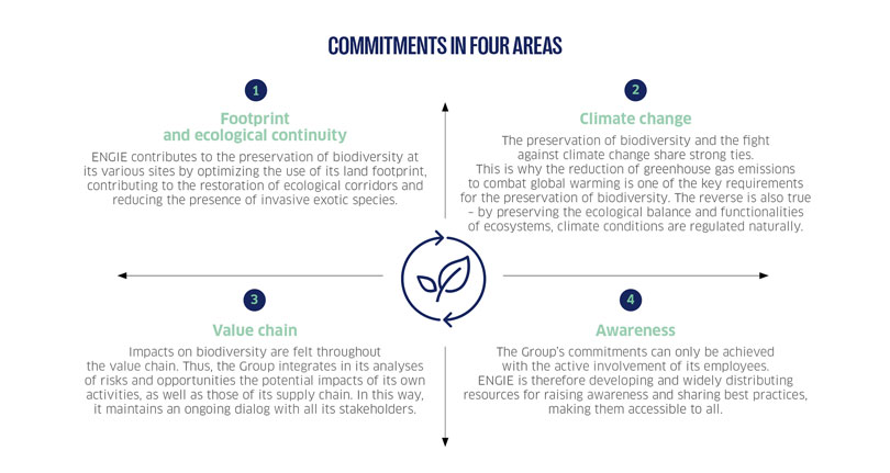 4 axes commitments