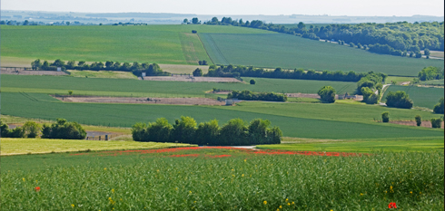 ENGIE takes action to make our planet greener