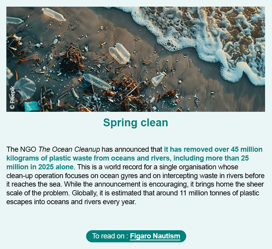 Trends Shaker News - Spring clean