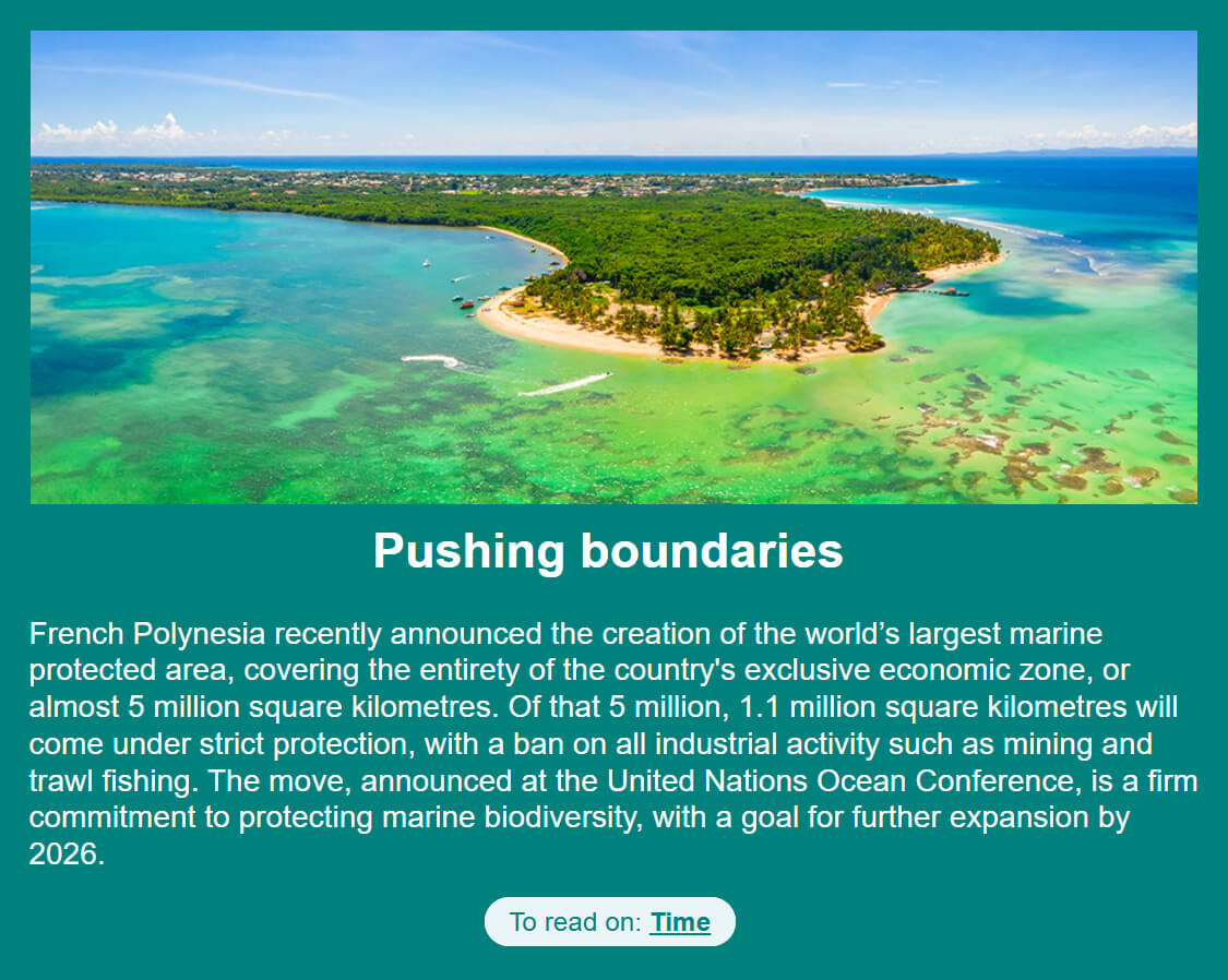 Extract from the July 2025 newsletter