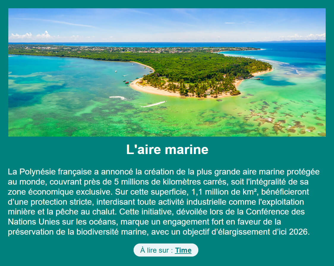extrait newsletter juillet 2025