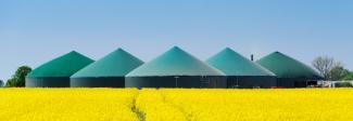 Biogas