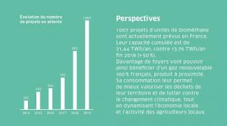 Perspectives du biogaz