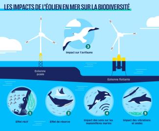 SONK Inverseur d'énergie éolienne, facilite l'installation et la