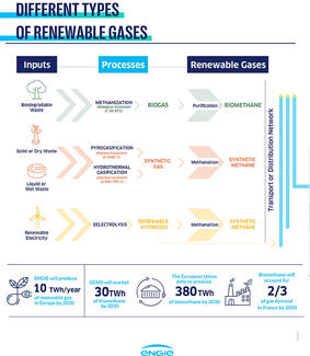 Green gases infographic