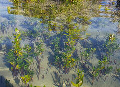 header_biodiversité
