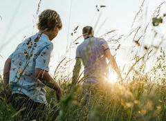 header impact nature