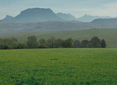 header-campagne-ENGIE-EN