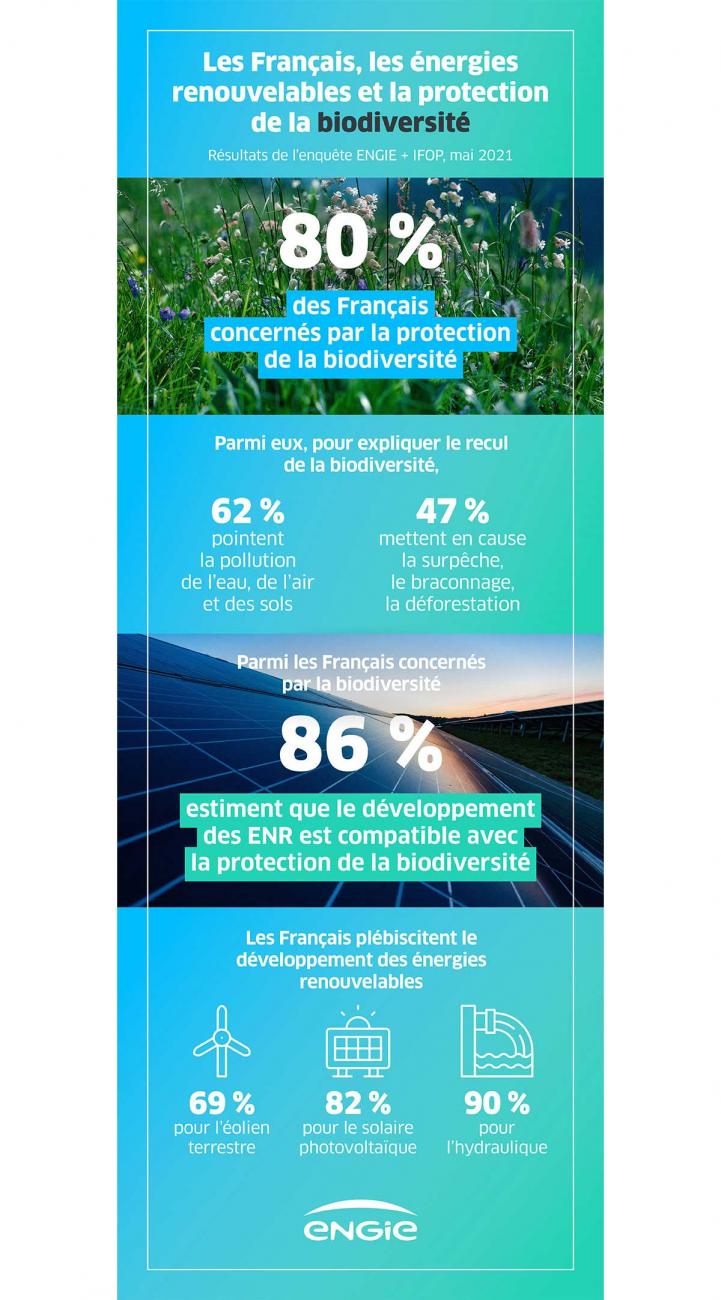 infographie biodiversité