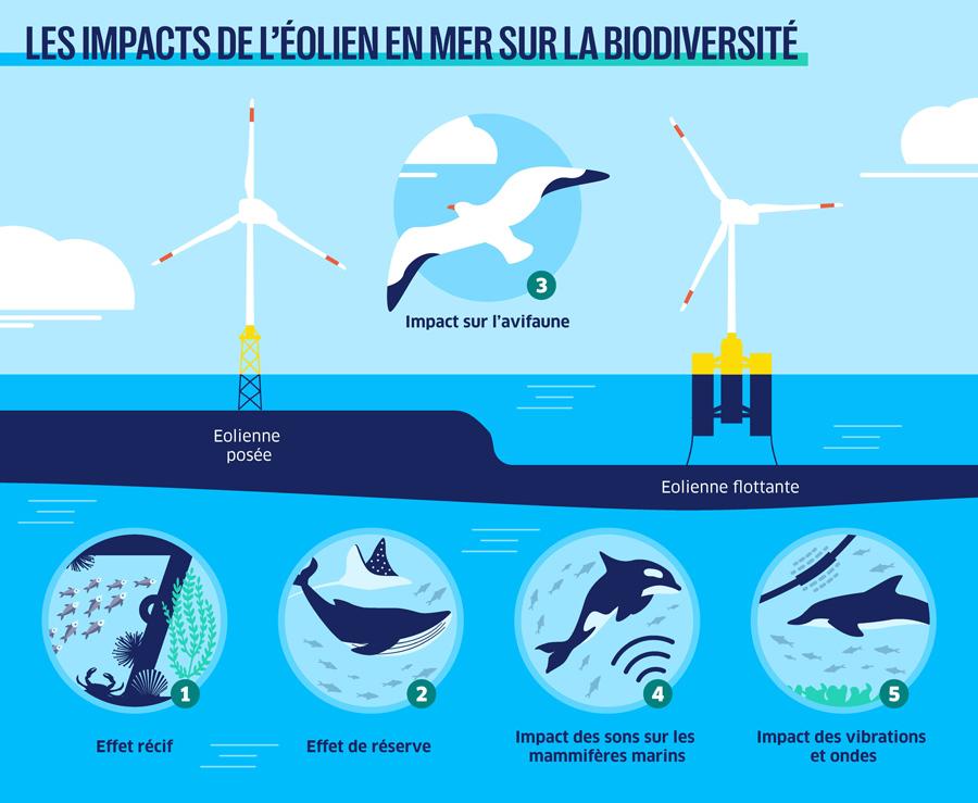 EolienMerBiodiv-FR