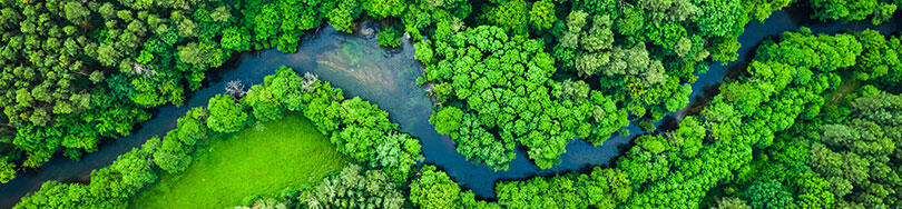AdobeStock - shaiith Visuel protéger la biodiversité